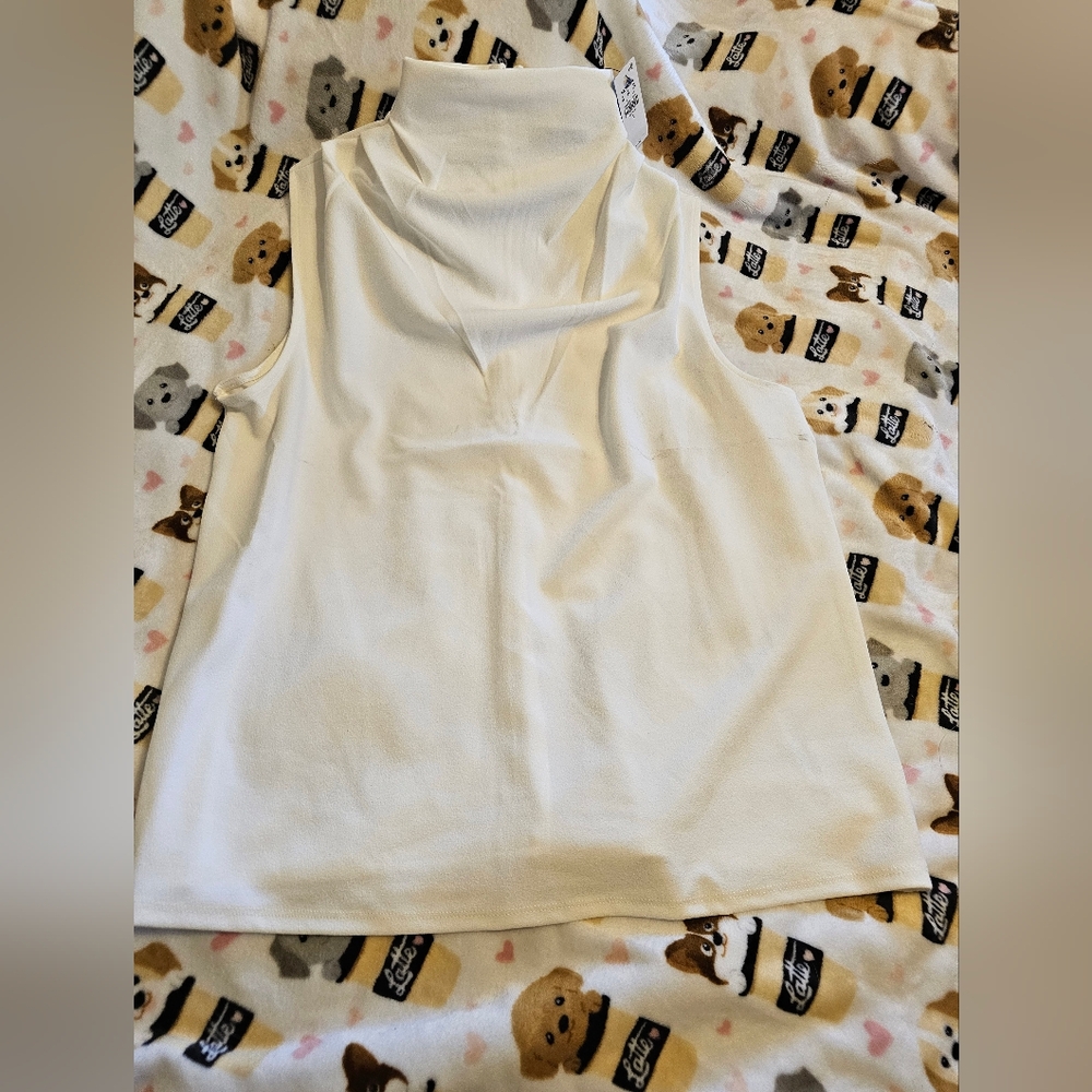 Express White Sleeveless Turtleneck Top